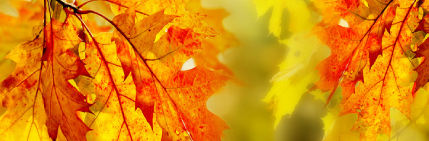 Wednesday, April 30th article for real estate agents on myrealestate.express