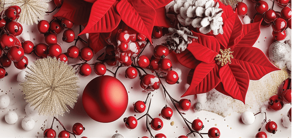 Christmas Card 20256